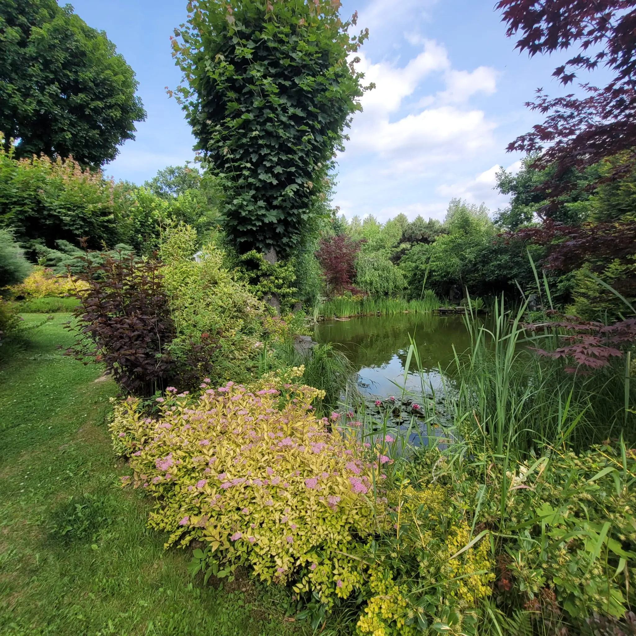 Przestrzeń trawnika