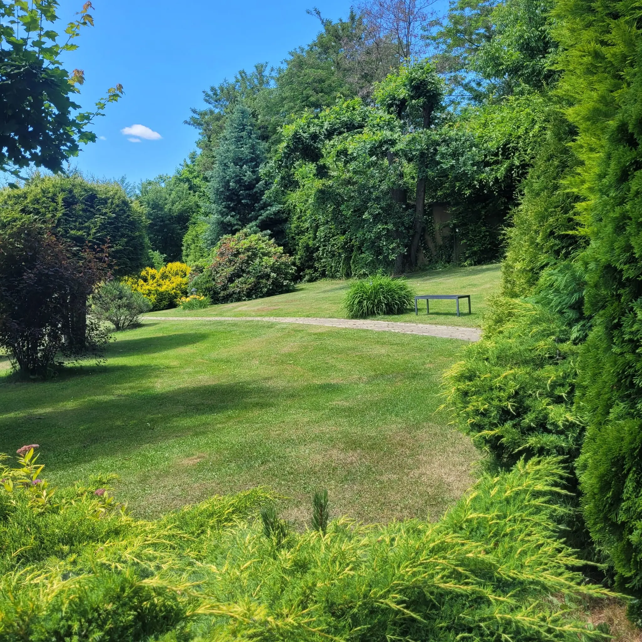 Łąka trawnika i rabaty